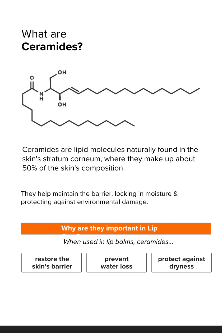Ceramide Lip Balm - Image 5